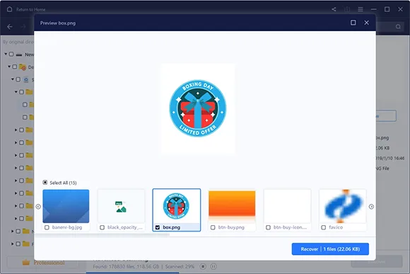 Step 3: Preview and Recover Lost Files